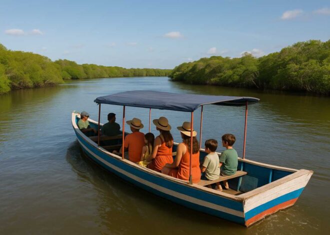 6 passeios para fazer em Parnaíba com a família