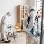 Silenciosas e invisíveis: o avanço das pragas urbanas e o papel essencial das dedetizadoras no Brasil